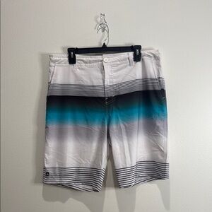 MICROS Gradient Blue and White Men's Swim Shorts